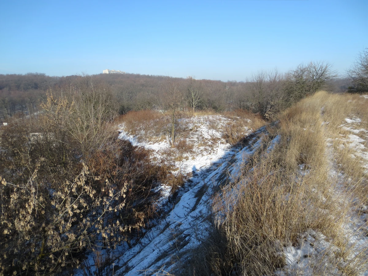 Засніжений схил і округле підвищення на краю городища, вкриті сухою травою та безлистими кущами; за ними лісистий схил.
