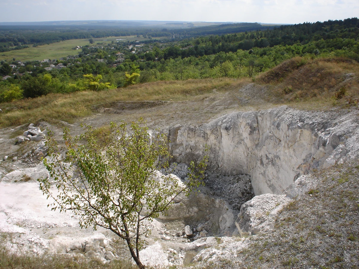 Світла скельна стінка кар’єру з уламками внизу, кущ на передньому плані; вище трав’янистий схил, дерева, будинки й ліс на обрії.