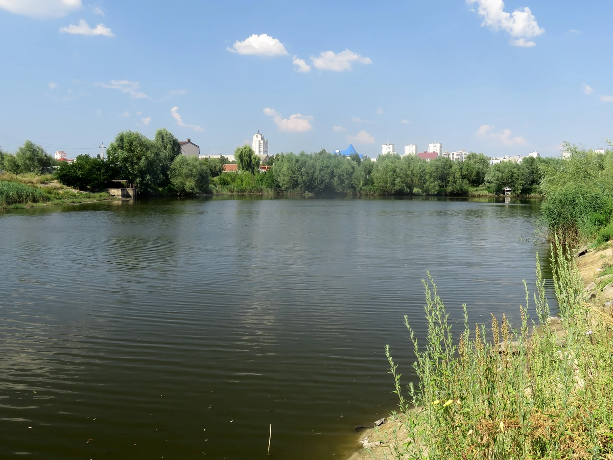 Ставок у Софіївській Борщагівці, дерева на берегах і забудова на дальньому плані.